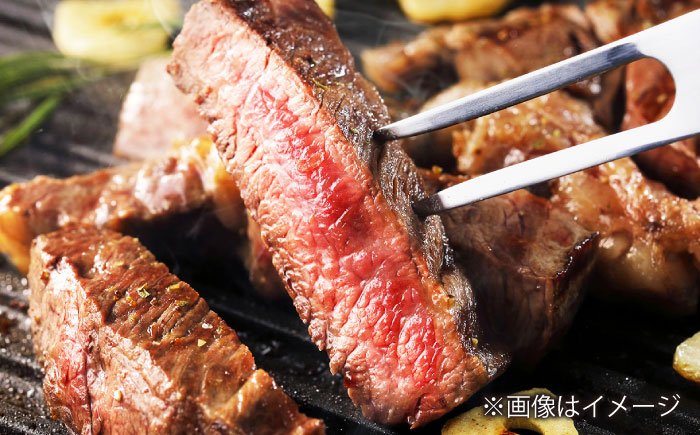 【12回定期便】長崎和牛 ロースステーキ ハーフ 600g（150g×4枚） 【佐世保エスディー食品株式会社】 [DBW055]