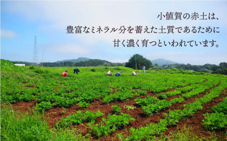 【全6回定期便】【濃厚！】HAO！ピーナッツペースト 2本 《小値賀町担い手公社》 ピーナッツバター ピーナッツ バター ジャム 朝食 濃厚 落花生  常温  [DAA013]