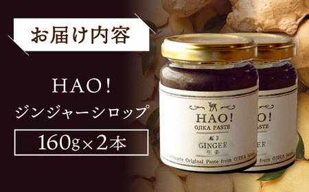 HAO！ジンジャーシロップ 2本 （160g/本)  ジンジャー 生姜 ジンジャーエール シロップ スパイス 常温  [DAA015]