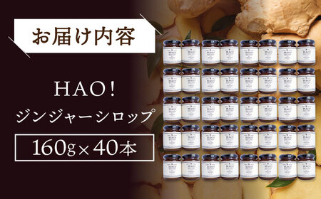 【 大容量 】HAO！ジンジャーシロップ 40本（160g/本） 《小値賀町担い手公社》  ジンジャー 生姜 ジンジャーエール シロップ スパイス 常温  [DAA025]