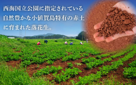 【年内配送】【幻の落花生】むき身 落花生 40g × 80袋 【小値賀町】《小値賀町担い手公社》 落花生 ピーナッツ おつまみ 常温   [DAA038]