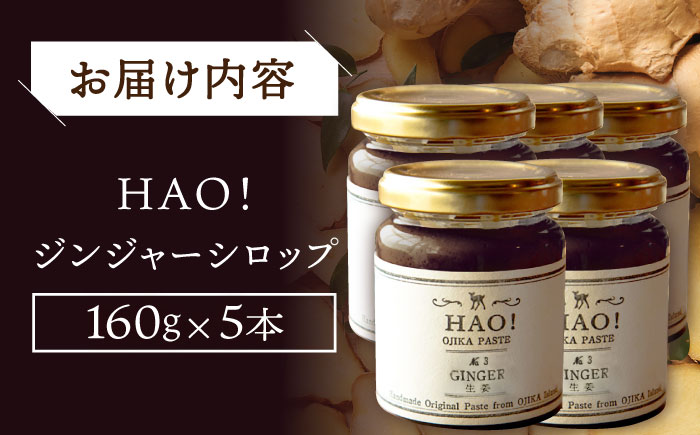 HAO！ジンジャーシロップ 5本 （160g/本) ジンジャー 生姜 ジンジャーエール シロップ スパイス 常温  [DAA048]