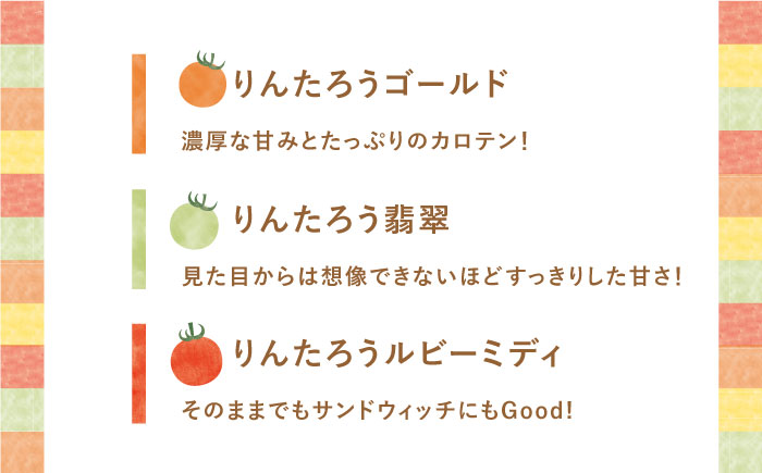 【年内配送】【先行予約】おまかせMIX カラフル ミニトマト 約1.2kg トマト ミニ トマト プチトマト とまと ミニ とまと カラフルミニトマト ミニトマト【小値賀町】《りんたろうファーム》  [DAE002]