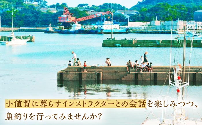 【小値賀島で初めての魚釣り体験！】1名様～2名様 魚釣り 釣り 海 魚 フィッシング 体験 長崎県 五島列島 小値賀町   [DAJ016]
