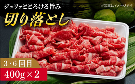 【全6回定期便】【 A5ランク 】 長崎和牛 赤身 定期便 【有限会社肉の相川】 肉 肉定期便  [DAR034]