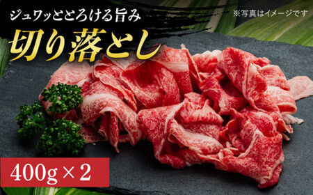 【全12回定期便】【希少部位】ヒレ入り！  長崎和牛 お肉大好き 定期便  《小値賀町》【有限会社肉の相川】 ヒレ肉 ロース ミスジ 切り落とし 牛肉 国産 焼肉 すき焼き あいかわ  [DAR040]