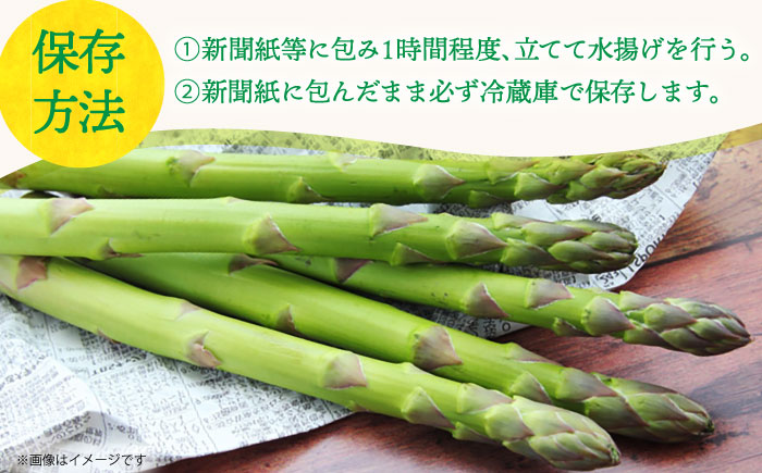 【先行予約】【2025年3月中旬～4月中旬発送分】アスパラガス（ 春芽 ）約1kg 《小値賀町》【ながさき西海農協小値賀地区園芸部会】  アスパラガス [DAT004]