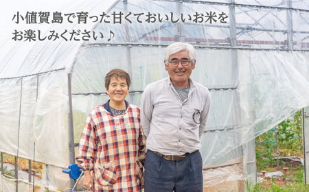 【令和2年度新米】赤土で育った小値賀町産コシヒカリ 5kg＜伊藤紀明＞  常温  [DBC001]