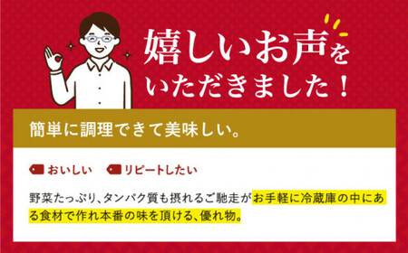 【全12回定期便】 長崎 ちゃんぽん ・皿うどん 各5人前 《みろく屋》  簡単調理 チャンポン レトルト 野菜 常温 保存 惣菜 おかず 簡単 時短  常温  [DBD026]