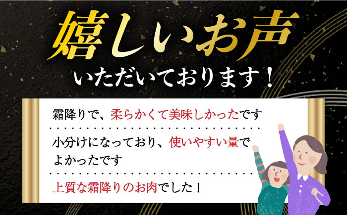 【6回定期便】小分けで使いやすい！ 長崎和牛 切り落とし 600g（300g×2）切り落とし [DBL024]