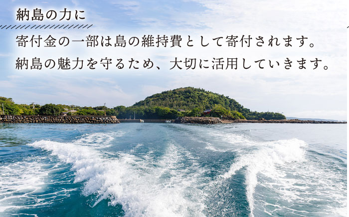 【これであなたも島の一員！】納島デザインTシャツ＜Mサイズ＞納島 Tシャツ 半袖 服 デザインTシャツ 男女兼用 シンプル 長崎 五島列島 小値賀   [DBO007]