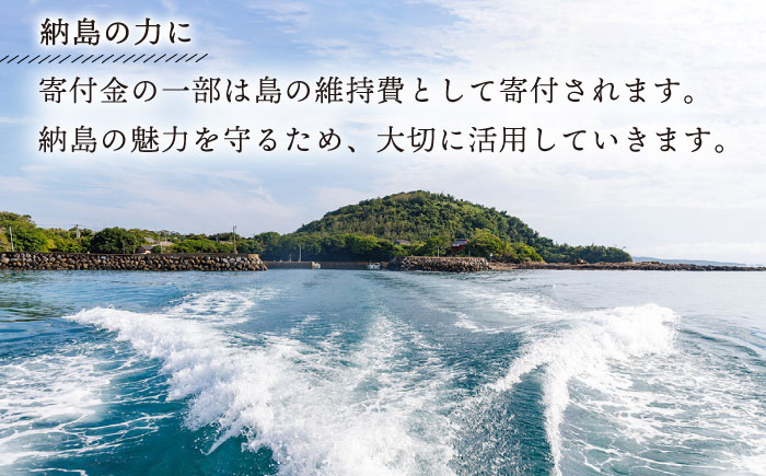 【これであなたも島の一員！】納島デザインTシャツ＜Lサイズ＞納島 Tシャツ 半袖 服 デザインTシャツ 男女兼用 シンプル 長崎 五島列島 小値賀   [DBO008]