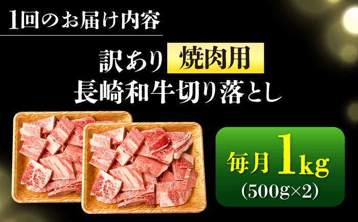 【全6回定期便】【訳あり】【A4～A5】長崎和牛焼肉切り落とし(肩ロース・バラ）　1kg（500g×2p）【株式会社 MEAT PLUS】  [DBS047]