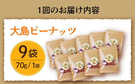 【全6回定期便】大島ピーナッツ 70g×9袋 長崎県 小値賀町 大島 【神川農園】   [DBT017]