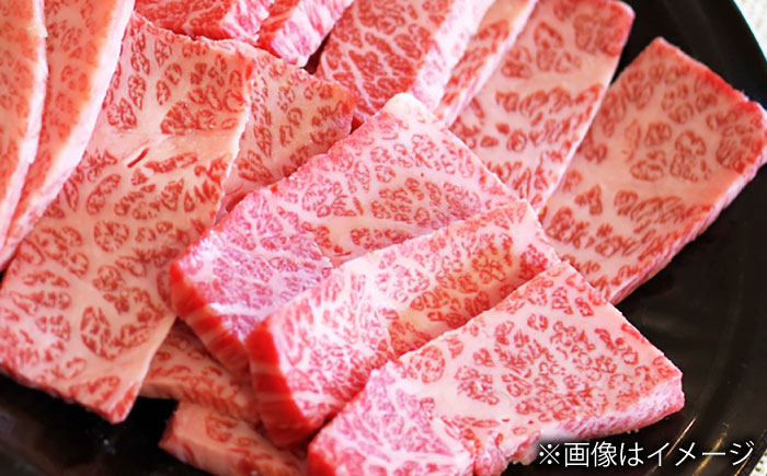 【大自然の贈り物！】長崎和牛 カルビ 約500g【ながさき西海農業協同組合】 [DBV001] [DBV001]