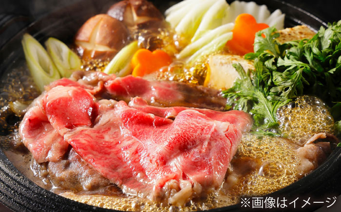 【大自然の贈り物！】長崎和牛 肩ロース スライス 約500g【ながさき西海農業協同組合】 [DBV002] [DBV002]