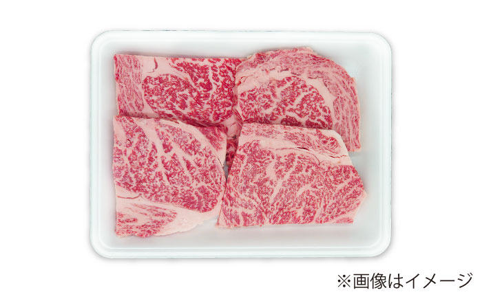 長崎和牛 ロースステーキ ハーフ 600g（150g×4枚） 【佐世保エスディー食品株式会社】 [DBW051]