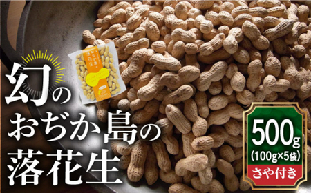 【幻の落花生】おぢか島の落花生（さや付き）100g × 5袋 《小値賀町担い手公社》  落花生 ピーナッツ おつまみ 常温  [DAA033]