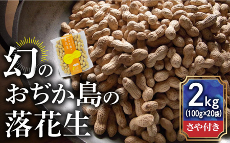 【幻の落花生】おぢか島の落花生（さや付き）100g × 20袋 《小値賀町担い手公社》  落花生 ピーナッツ おつまみ 常温  [DAA034]