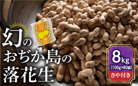 【幻の落花生】おぢか島の落花生（さや付き）100g × 80袋 《しまうま商会》  落花生 ピーナッツ おつまみ 常温  [DAA035]