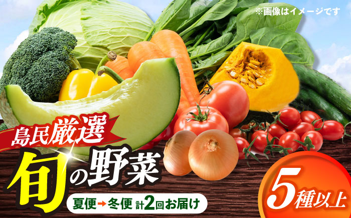 【先行受付】【夏季初回発送】小値賀島で育った新鮮野菜おまかせセット　夏季1回・冬季1回お届け  [DAB080]