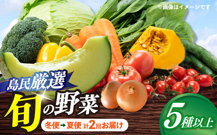 【8月～10月先行受付】【冬季初回発送】小値賀島で育った新鮮野菜おまかせセット　冬季1回・夏季1回お届け  [DAB081]
