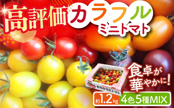 【年内配送】【先行予約】カラフル ミニトマト 4色5種MIX 約1.2kg 【小値賀町】《りんたろうふぁ～む》 [DAE001]