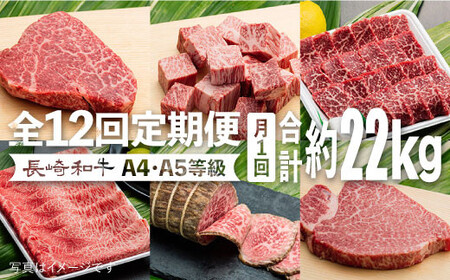 【全12回 約22kg】A4,A5等級 長崎和牛プレミアム月1回計12回定期便 《小値賀町》 【有限会社肉の相川】 1200000 1200000円 120万円  [DAR012]