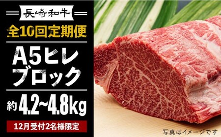 【2セット限定 月1回全10回定期便】1本まるごと！長崎和牛A5ヒレブロック 4.2～4.8kg  《小値賀町》 【有限会社肉の相川】 5000000 5000000円 500万円  [DAR017]