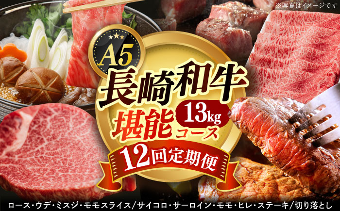 【全12回定期便】【希少部位】ヒレ入り！  長崎和牛 お肉大好き 定期便  《小値賀町》【有限会社肉の相川】 ヒレ肉 ロース ミスジ 切り落とし 牛肉 国産 焼肉 すき焼き あいかわ  [DAR040]