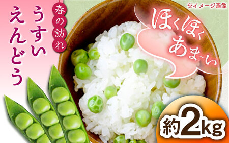 【先行予約】【2025年3月下旬～4月中旬発送分】うすいえんどう 約2kg ≪小値賀町≫【ながさき西海農協小値賀地区園芸部会】 ? えんどう エンドウ 実えんどう 野菜 常温 [DAT006]