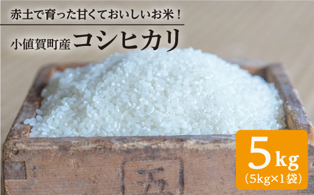【令和2年度新米】赤土で育った小値賀町産コシヒカリ 5kg＜伊藤紀明＞  常温  [DBC001]