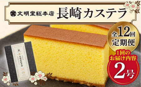 【全12回定期便】 長崎 カステラ 580g（10切入×2本）《文明堂総本店》  [DBF004]