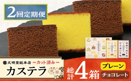 【2回定期便】カット包装カステラ　2箱入（プレーン・チョコレート） ≪小値賀町≫ 【株式会社文明堂総本店】 カステラ  [DBF015]