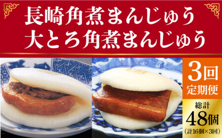 【全3回定期便】 長崎 角煮まんじゅう 8個（箱）・ 大とろ角煮まんじゅう 8個（箱）＜岩崎本舗＞  角煮まんじゅう 角煮まんじゅう [DBG028]