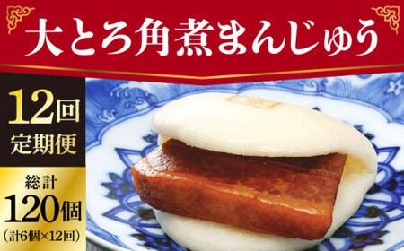 【全12回定期便】 長崎 大とろ角煮まんじゅう 10個 ＜岩崎本舗＞  角煮まんじゅう 角煮まんじゅう [DBG045]