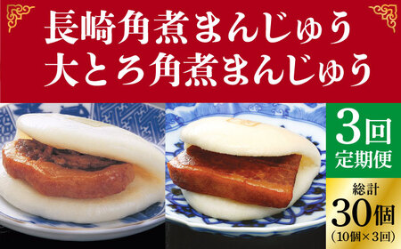 【全3回定期便】＜月替り！＞角煮まんじゅう 2種 お楽しみセット （角煮まんじゅう10個・大とろ角煮まんじゅう10個）≪小値賀町≫ 【岩崎本舗】    [DBG063]