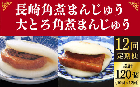 【全12回定期便】＜月替り！＞角煮まんじゅう 2種 お楽しみセット （角煮まんじゅう10個・大とろ角煮まんじゅう10個）≪小値賀町≫ 角煮【岩崎本舗】    [DBG065]