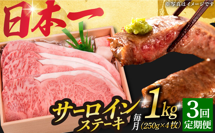 【3回定期便】 長崎和牛 A5ランク 特選 サーロインステーキ 4枚 計1kg 《小値賀町》【株式会社 OGAWA】  肉 和牛 黒毛和牛 サーロイン ステーキ A5 贅沢  [DBJ015]