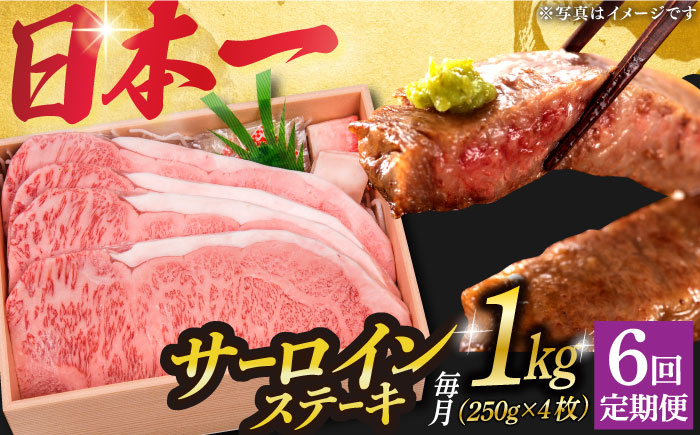 【6回定期便】 長崎和牛 A5ランク 特選 サーロインステーキ 4枚 計1kg 《小値賀町》【株式会社 OGAWA】  肉 和牛 黒毛和牛 サーロイン ステーキ A5 贅沢  [DBJ016]