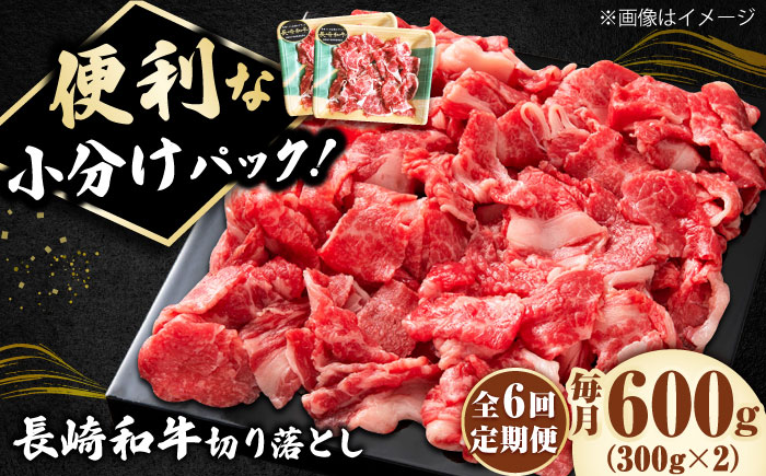 【6回定期便】小分けで使いやすい！ 長崎和牛 切り落とし 600g（300g×2）切り落とし [DBL024]