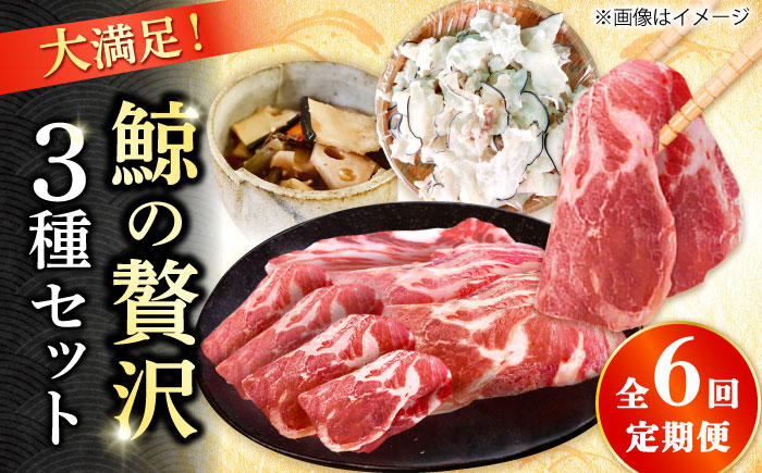 【6回定期便】　厳選！3種鯨定期便/ 煮しめ鯨120g×5パック 炙り用脂筋肉スライス（生）：400ｇ（200g×2パック）特上ゆかけ鯨（畝）：100g×3パック 小値賀町 /中島（鯨）商店  [DBM019]