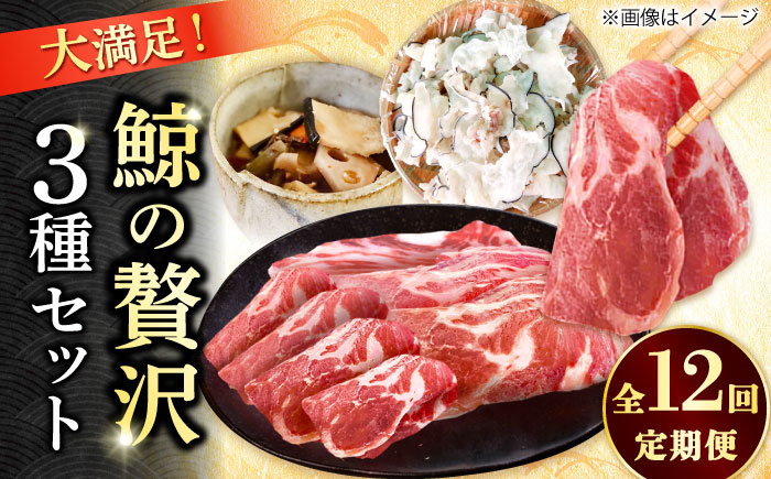 【12回定期便】　厳選！3種鯨定期便/ 煮しめ鯨120g×5パック 炙り用脂筋肉スライス（生）：400ｇ（200g×2パック）特上ゆかけ鯨（畝）：100g×3パック 小値賀町 /中島（鯨）商店  [DBM020]