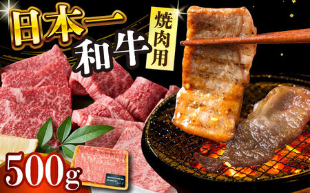 【A4～A5】長崎和牛焼肉用　500g【株式会社 MEAT PLUS】焼肉  [DBS001]