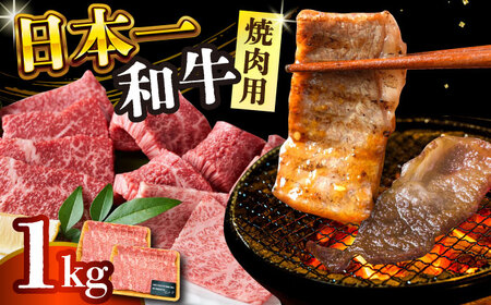 【A4～A5】長崎和牛焼肉用　1kg（500g×2p）【株式会社 MEAT PLUS】焼肉  [DBS002]