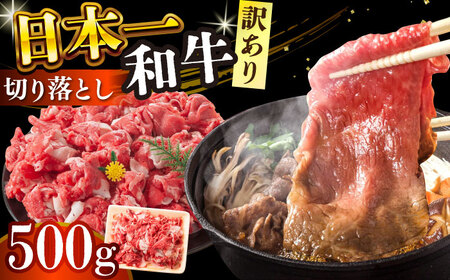 【訳あり】【A4～A5】長崎和牛焼肉切り落とし(肩ロース・バラ）　500g【株式会社 MEAT PLUS】  [DBS003]