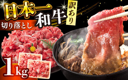 【訳あり】【A4～A5】長崎和牛焼肉切り落とし(肩ロース・バラ）　1kg（500g×2p）【株式会社 MEAT PLUS】  [DBS004]