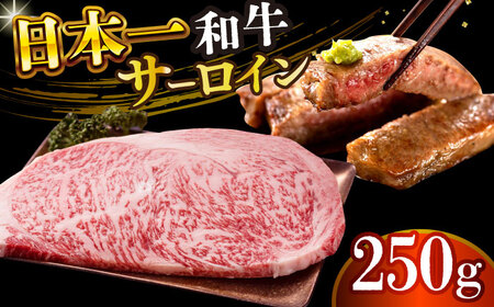 【A4～A5】長崎和牛サーロインステーキ　250g（250g×1枚）【株式会社 MEAT PLUS】  [DBS013]
