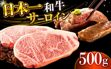 【A4～A5】長崎和牛サーロインステーキセット　500g（250g×2枚）【株式会社 MEAT PLUS】  [DBS014]