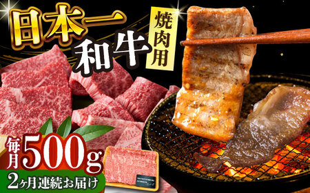 【全2回定期便】【A4～A5】長崎和牛焼肉用　500g【株式会社 MEAT PLUS】焼肉  [DBS033]